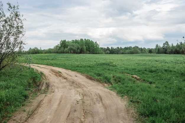 Утулик: дорожные страсти продолжаются