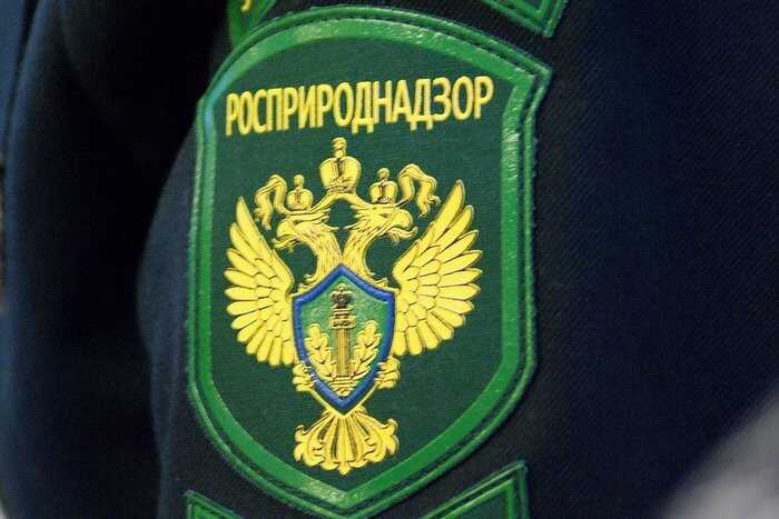 Росприроднадзор требует 200 миллионов рублей с «Тарховского» за загрязнение почвы на Ершовом месторождении