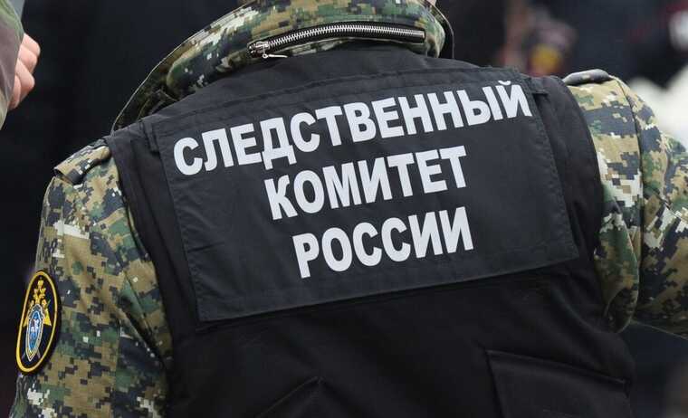 Следственный комитет возбудил дело после пыток воронежских активистов