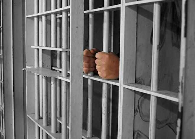 Mass hunger strikes in Egyptian prisons — protest against torture and inmate deaths